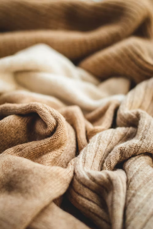 Wool