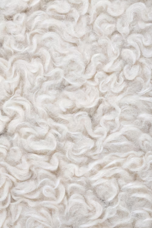 Cotton